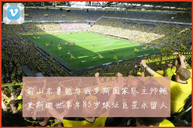 前山东鲁能与俄罗斯国家队主帅鲍里斯逝世享年85岁球坛巨星永留人间