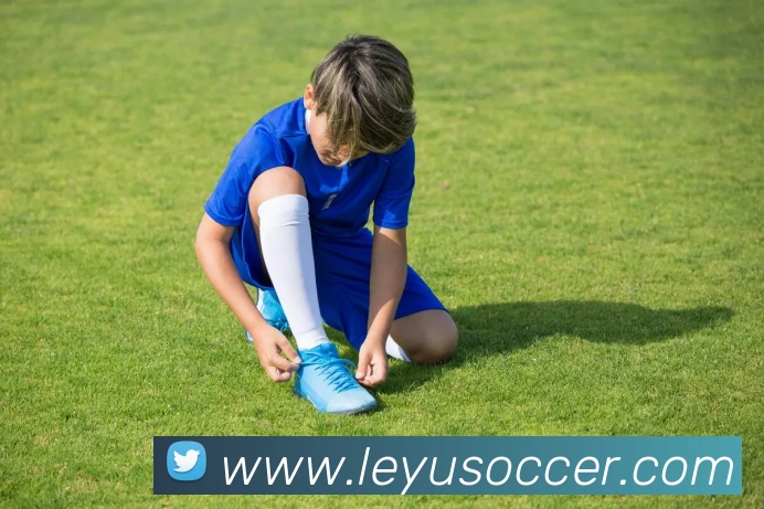 乐鱼体育品牌故事