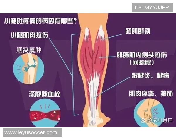 阿拉巴因右小腿比目鱼肌超负荷伤情将缺席比赛7到10天